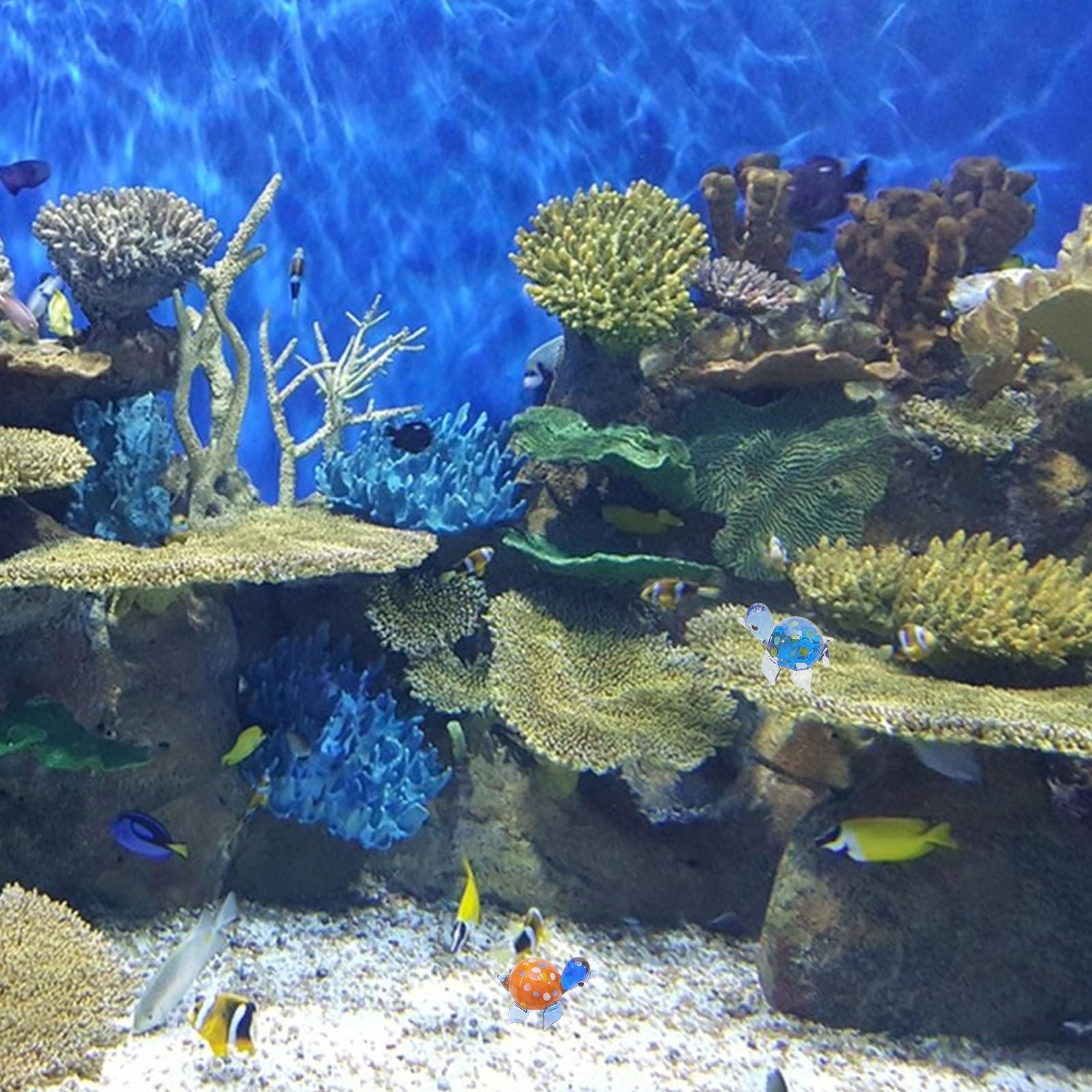 View 5