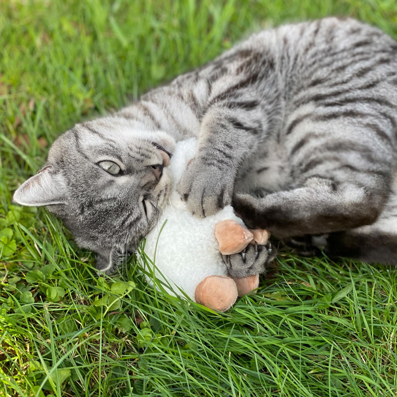 Aumüller Katzenspielzeug Schäfchen Sally, 3er Set - Plüschtier zum Schmusen mit Baldrianfüllung
