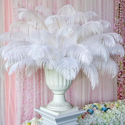 Miniatura 9 de 150 plumas de avestruz naturales para centros de mesa de 12-14 pulgadas 118-138in 10-12 pulgadas 98-118in 8-10 pulgadas 79-98in para centros de mesa