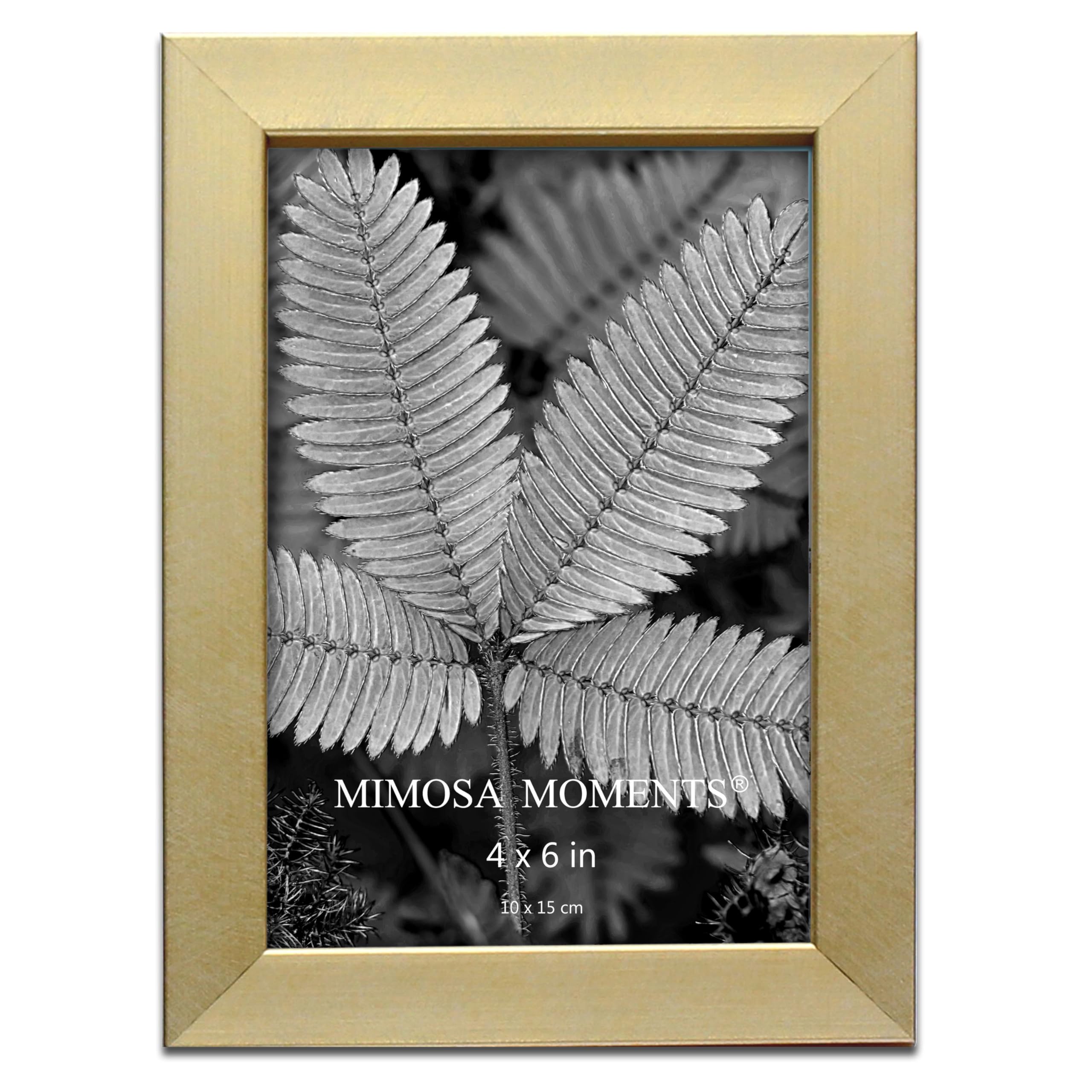 Mimosa Moments Metallic Brasss Picture Frame, Brushed Satin Finish, Tabelop Photo Frame Display Horizontal or Vertical 4x6 Inch Photo