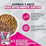 Ver la foto 7
