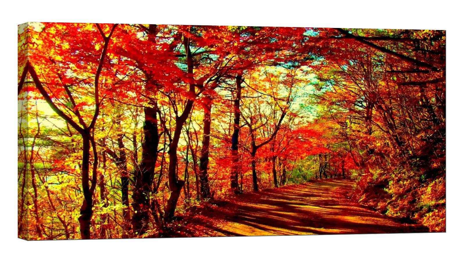 Glow in The Dark Canvas Painting - Stretched and Framed Giclee Wall Art Print - Trees Forest Outdoor Wonderful Day - Master Bedroom Living Room Decor - 6 Hours Glow - 46 x 24 inch