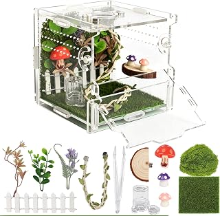 Jumping Spider Enclosure Kit 14-in-1 with Decor