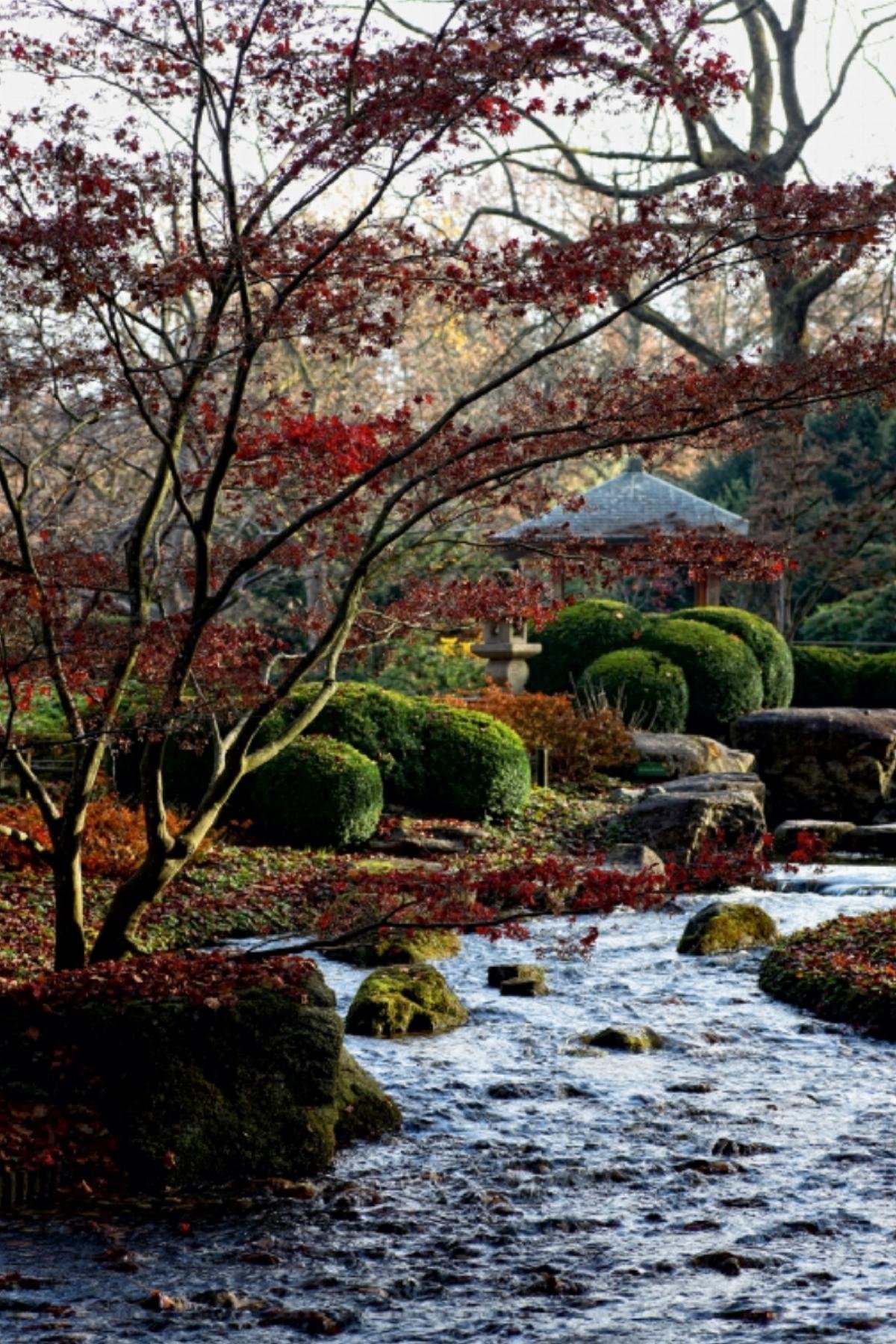 CALVENDO Japanischer Garten, Botanischer Garten Augsburg, Deutschland
