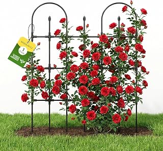 47.2" Rustproof Garden Trellis for Climbing Plants - Outdoor Cucumber Tomato Support Arch for Raised Beds & Pots