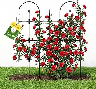 Trellis for Climbing Plants Outdoor,47.2" H Garden Trellis,Rustproof Garden Arch Trellis Cucumber Tomato Support Structure for Raised Bed