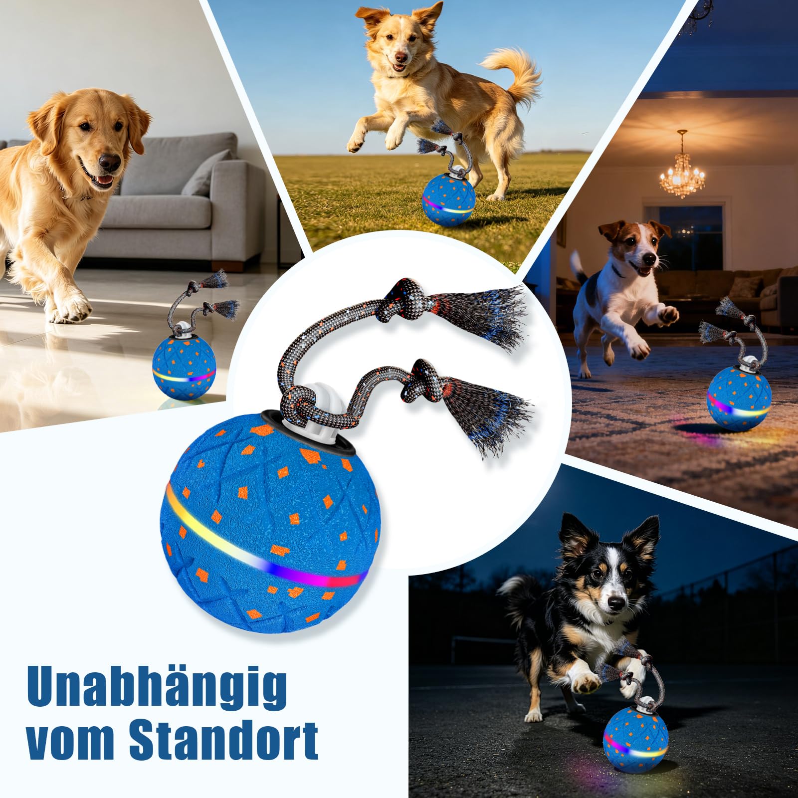 Giocattolo Interattivo per Cani, Altamente Elastico e Robusto, Siverse Modalità di Gioco con Luce Rotante e Uccelli per Attirare L'attenzione del Vostro Animale Domestico (Bule)