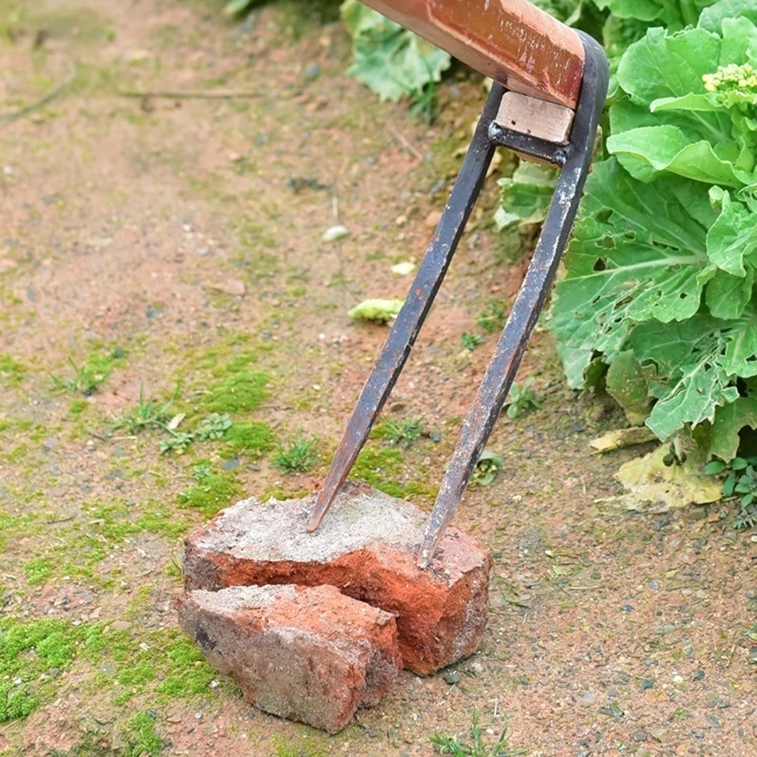 Hoe Garden Tool Agricultural Tools Two-Tooth Hoe Planting Vegetables Household Manganese Steel Digging Loose Soil Turning Ground Hoe Rake (Color : Square Tooth) (Round Tooth )