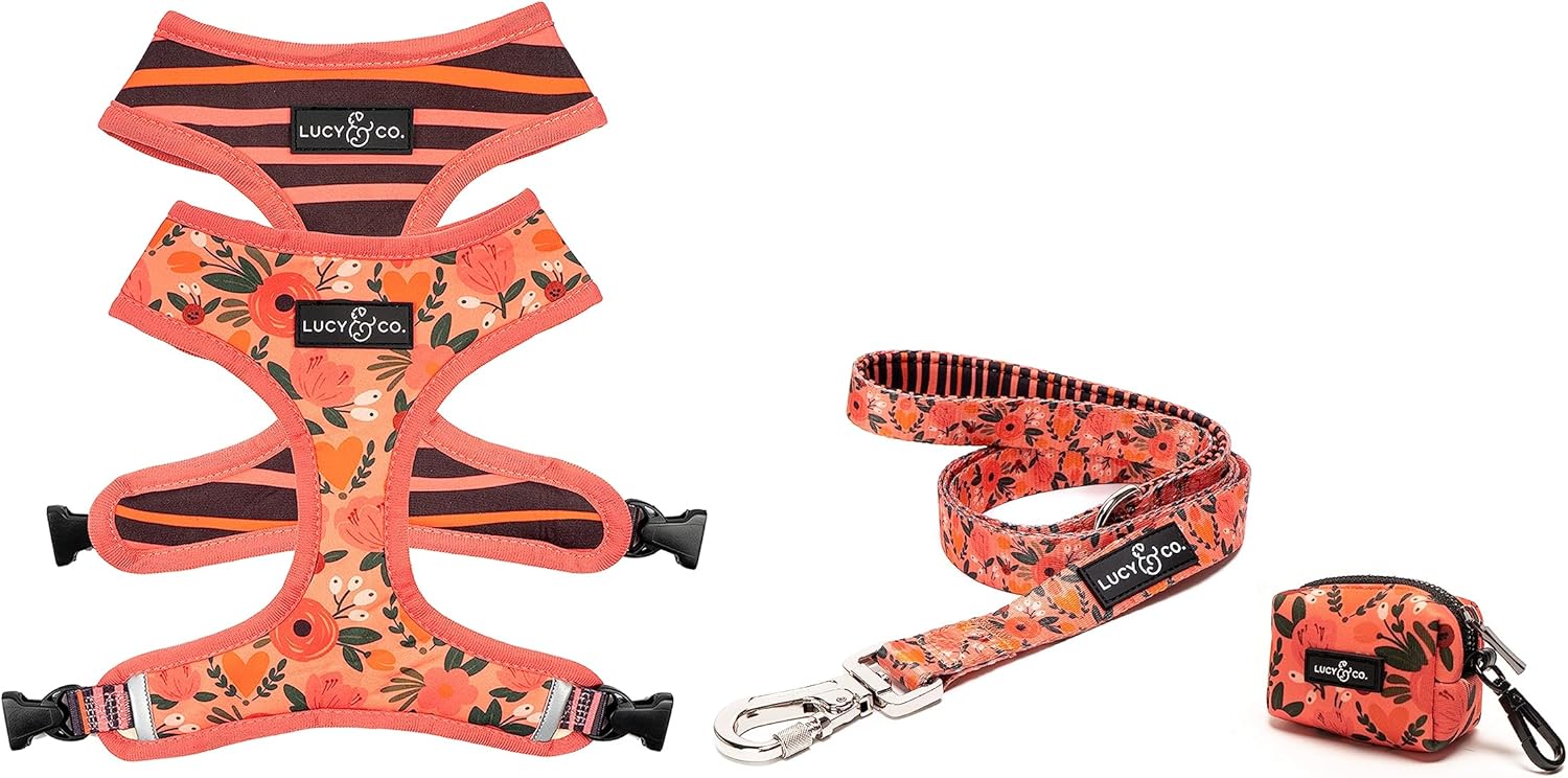 Lucy & Co. The Posy Pink Harness Walk Set Bundle Small