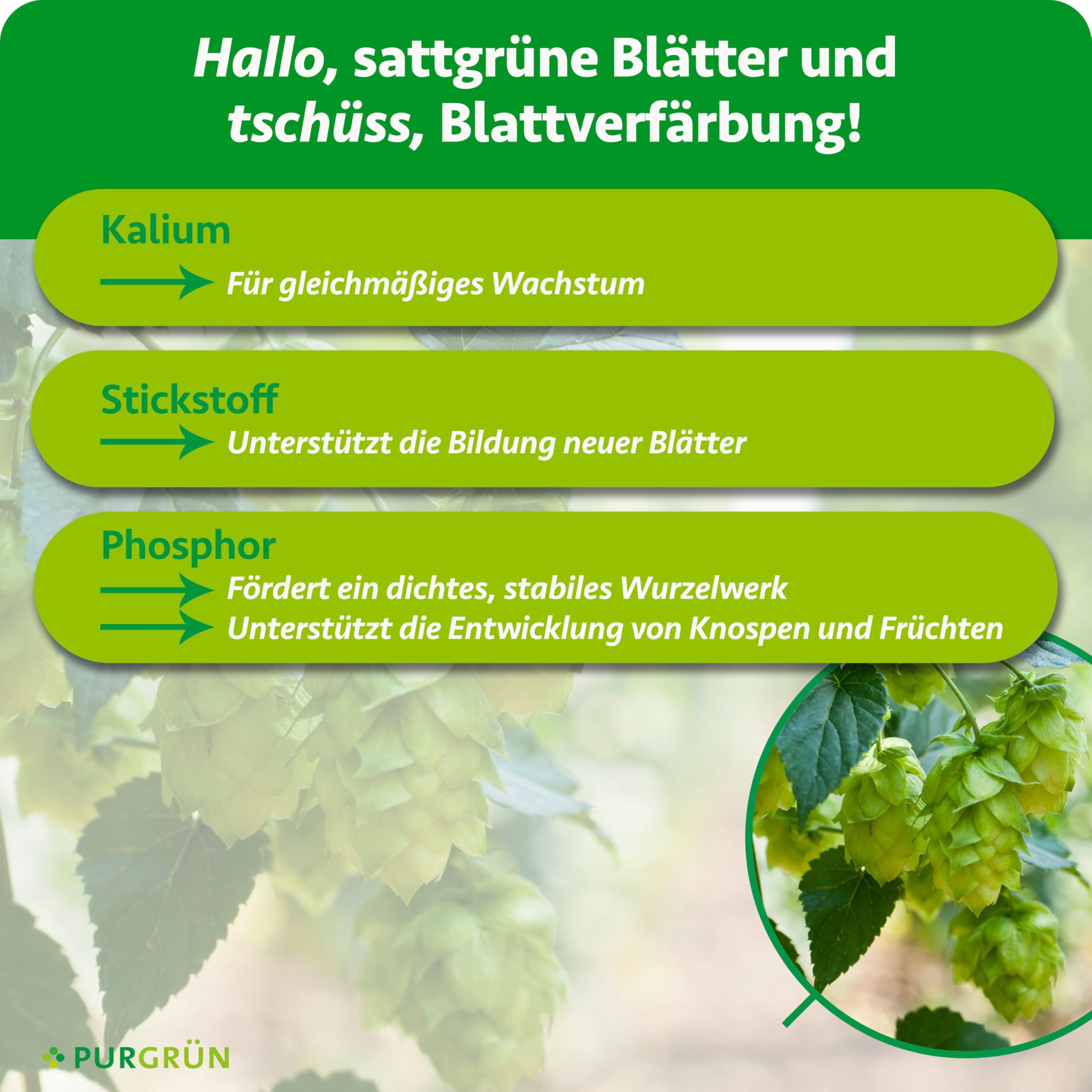 Bio-Hopfen-Dünger 1 kg – Organische Rezeptur – Feinkörniges Krümelgranulat – NPK 6+2+7 – Extra Magnesium für prächtigen Hopfen – Zur Verbesserung der Bodenqualität - Vegan