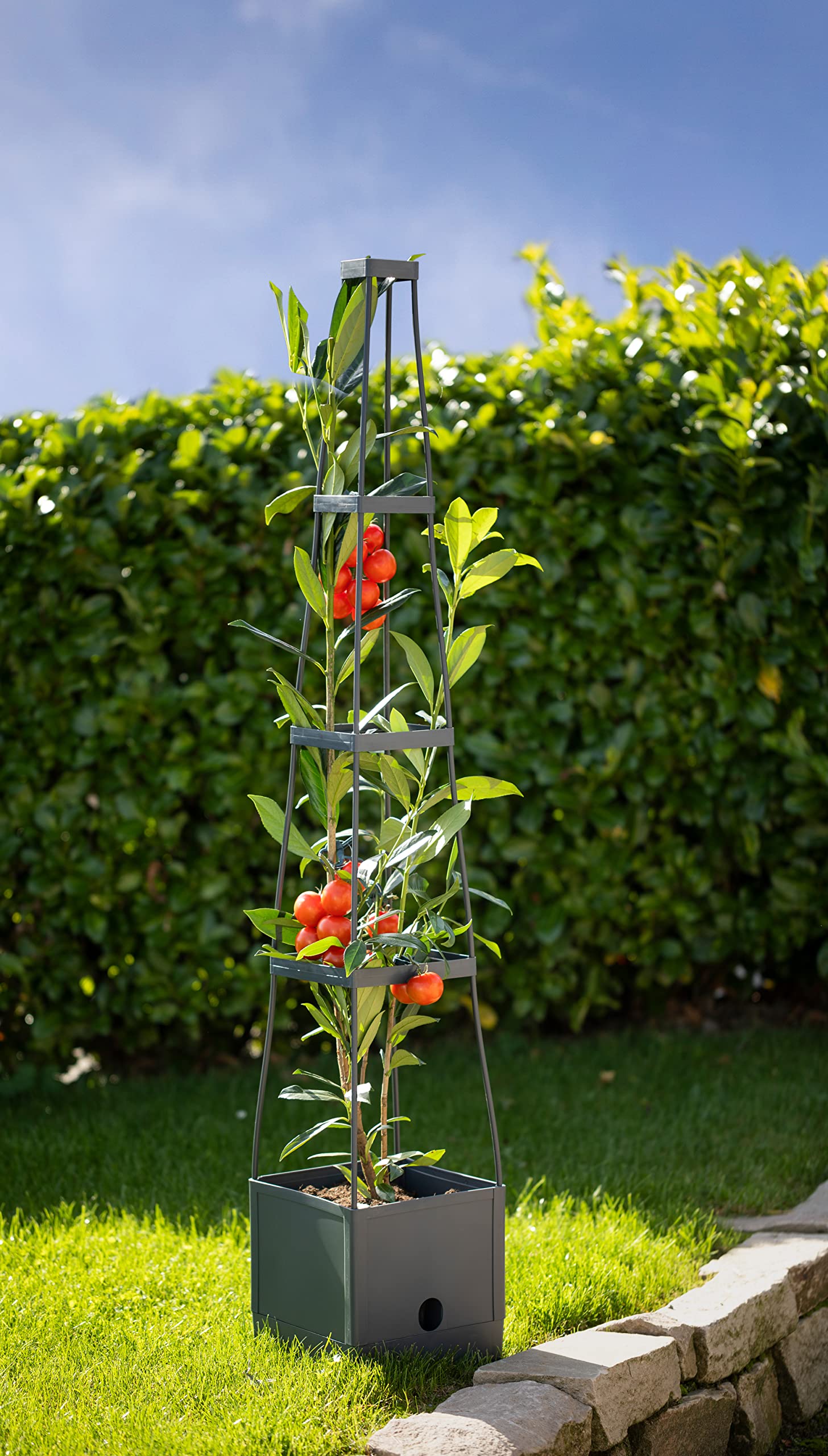 Bio Green plantenkweektoren „Maxitom met klimhulpmiddel en wateropslagtank van 2 liter | inhoud 16 liter | hoogte 150 cm | kleur antraciet, 26,01 x 26,01 x 8,99 cm Bio Green plantenkweektoren „Maxitom met klimhulpmiddel en wateropslagtank van 2 liter | inhoud 16 liter | hoogte 150 cm | kleur antraciet, 26,01 x 26,01 x 8,99 cm