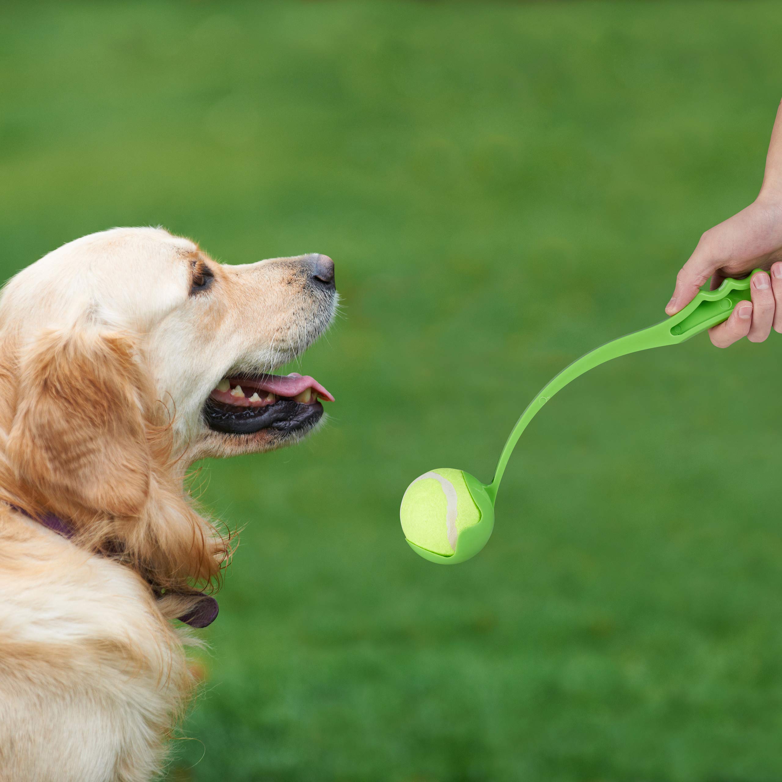 Relaxdays Lanzador Pelotas Perro, Set 16 Unidades, Lanzapelotas Bolas de Tenis, Lanzador, Juguetes Perros, Azul y Verde