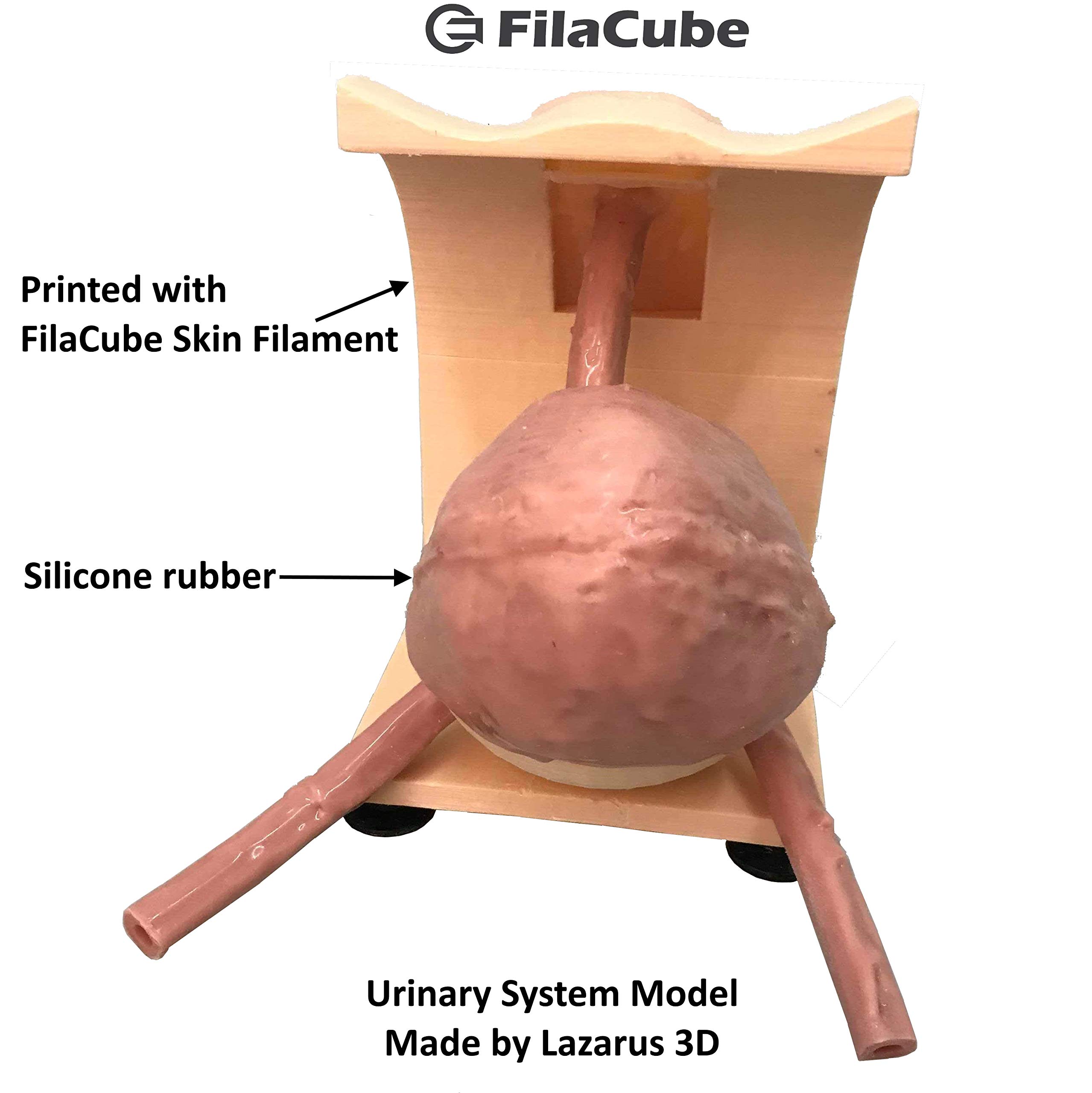 Skin/Flesh PLA drukarka 3D 1,75 mm filament 1 kg - FilaCube PLA 2 jasny odcień skóry 1,75 mm 1 kg druk 3D plastikowy filament dostawa do ludzkiego organu, modelu, ciała, dziewczyny, zabawkowego