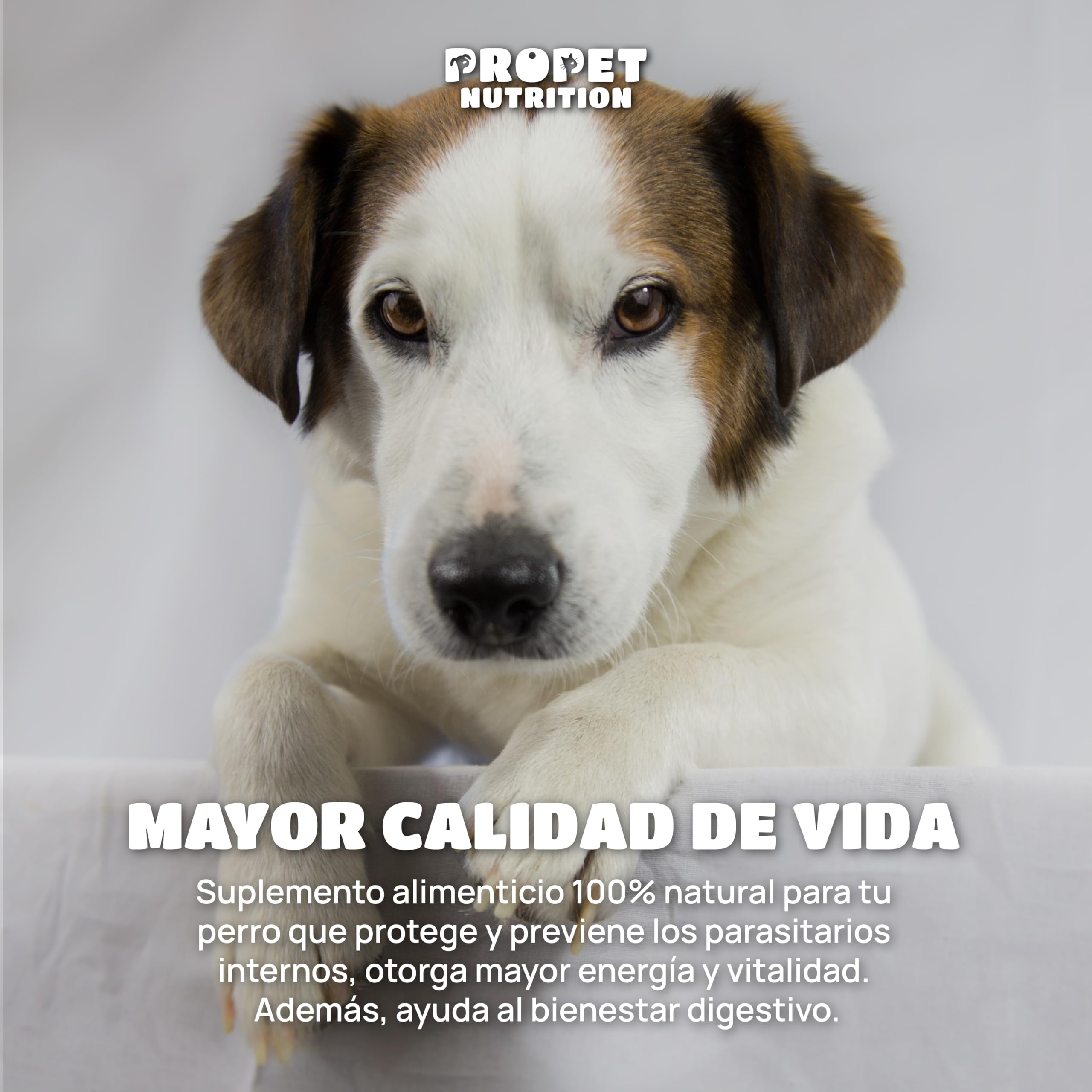 Desparasitante Perros. 12 Plantas de Rápida Absorción y Eficacia. 120 Dosis. Elimina y Previene. 100% Natural. Incluye Probioticos y Vitaminas. Pastillas Desparasitar Perros Interno. Amplio Espectro