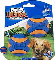 Chuckit! Ultra Squeaker Balls for Dogs - Durable Bouncy Floating Fetch Toys, Medium 2.5" Pack of 2 for Medium Breeds