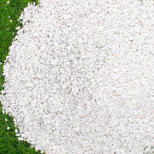 Vista 24 de Avalution Planta de piedra de arena gruesa de 0.079 a 0.176 pulgadas, grava decorativa, grava de cactus bonsái, relleno de terrario, decoración