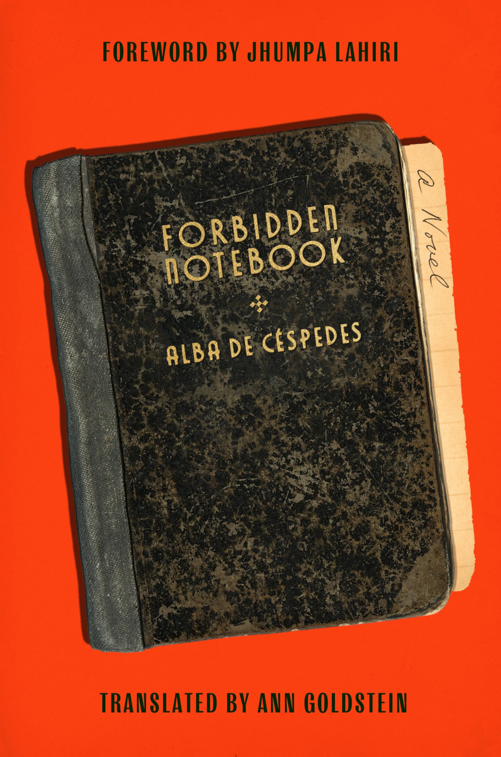 The Forbidden Notebook: A Novel