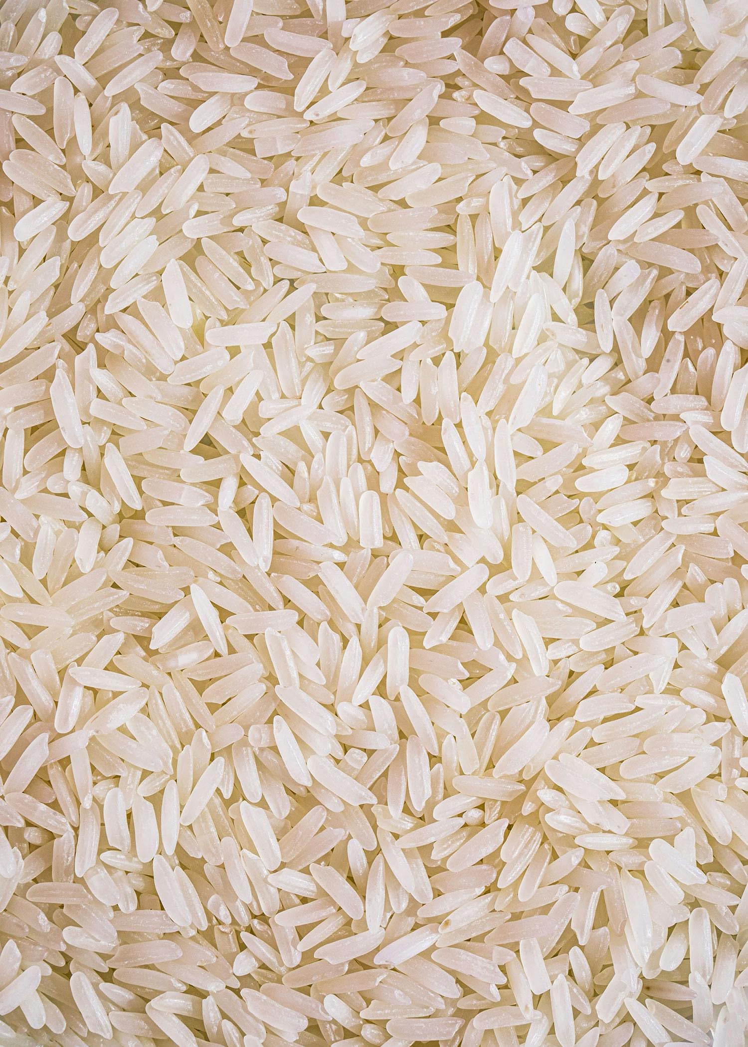 KoRo - Riso jasmin bio 5 kg - dalla Thailandia - aromatico e delicato - maxi confezione