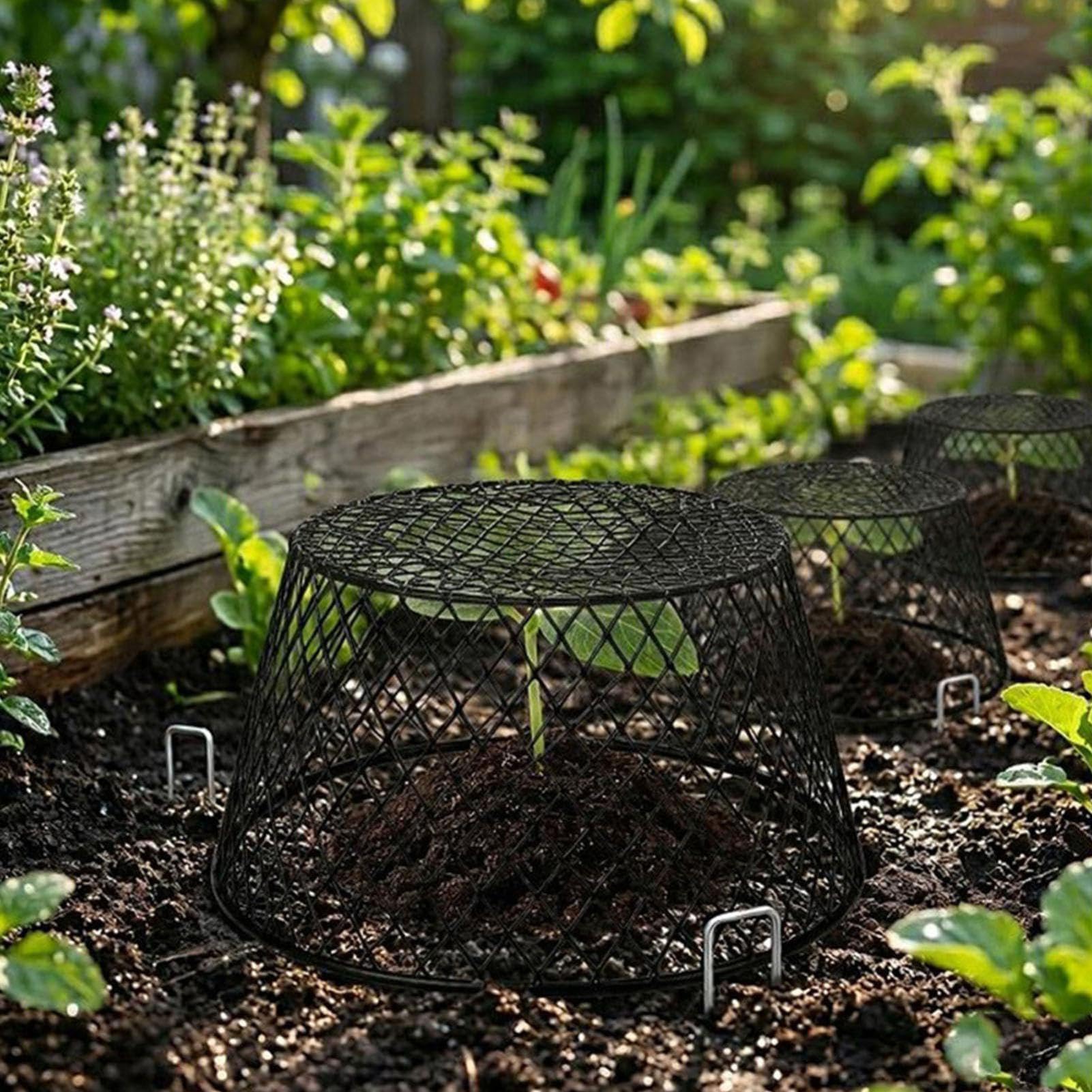 Cloche de Protection pour Lot de 10 Filets de Protection