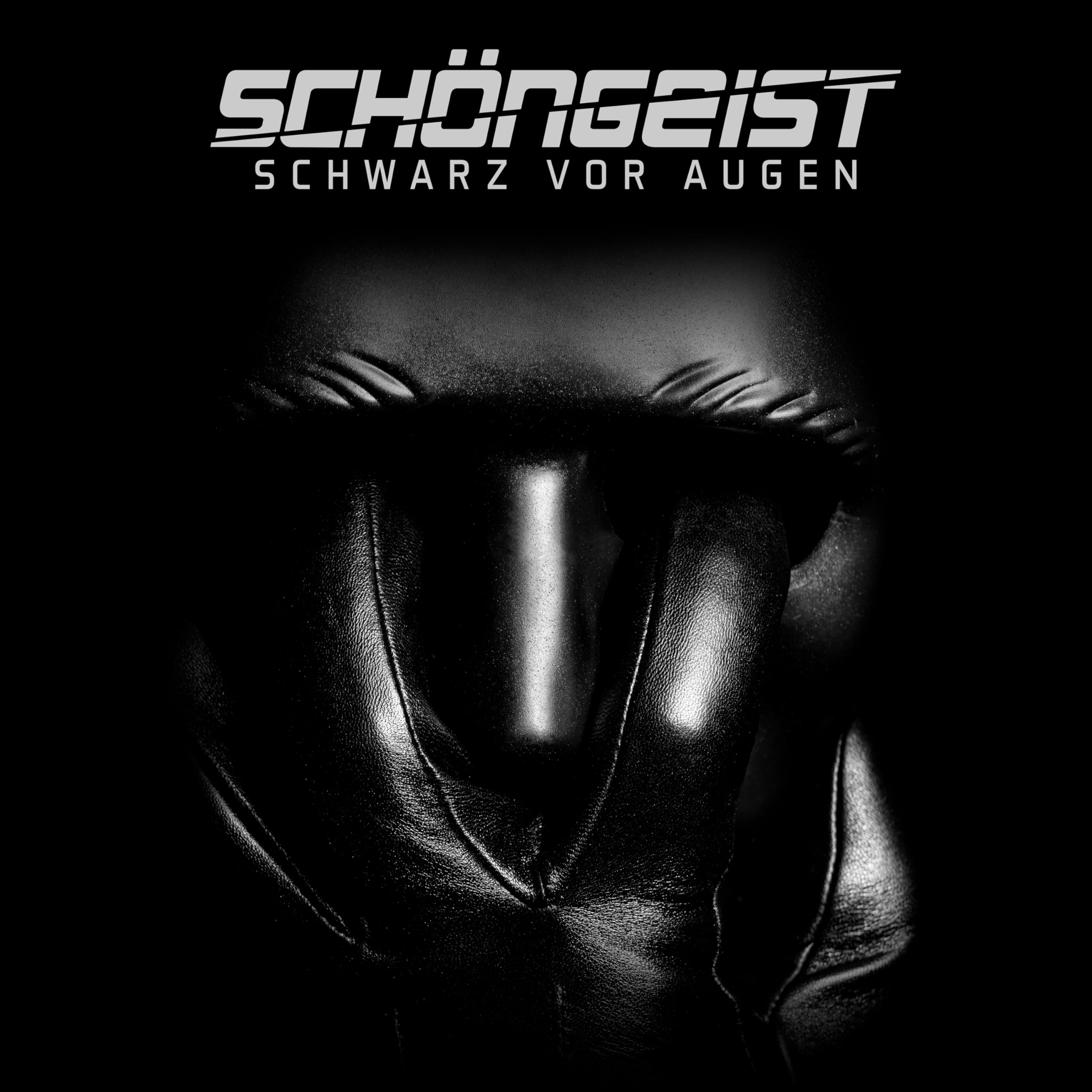 SCHWARZ VOR AUGEN [VINYL]