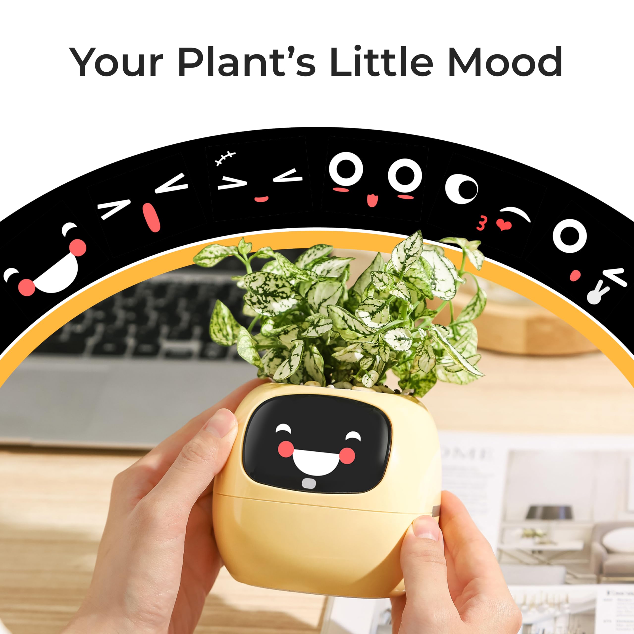 PLANTSIO Maceta inteligente de hiedra para decoración del hogar, plantas, compañera, configuración ordenada de escritorio, regalo, maceta para mascotas, guía robótica para el cuidado de plantas con