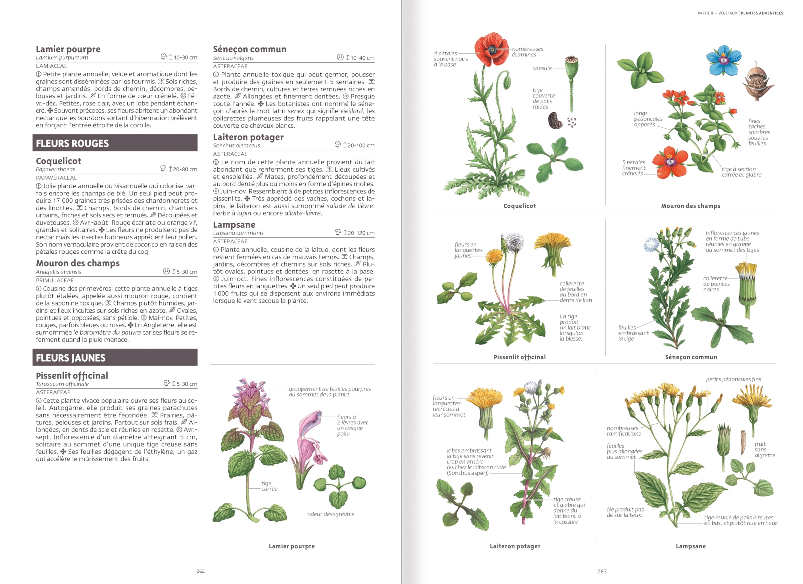 Le grand guide de la nature