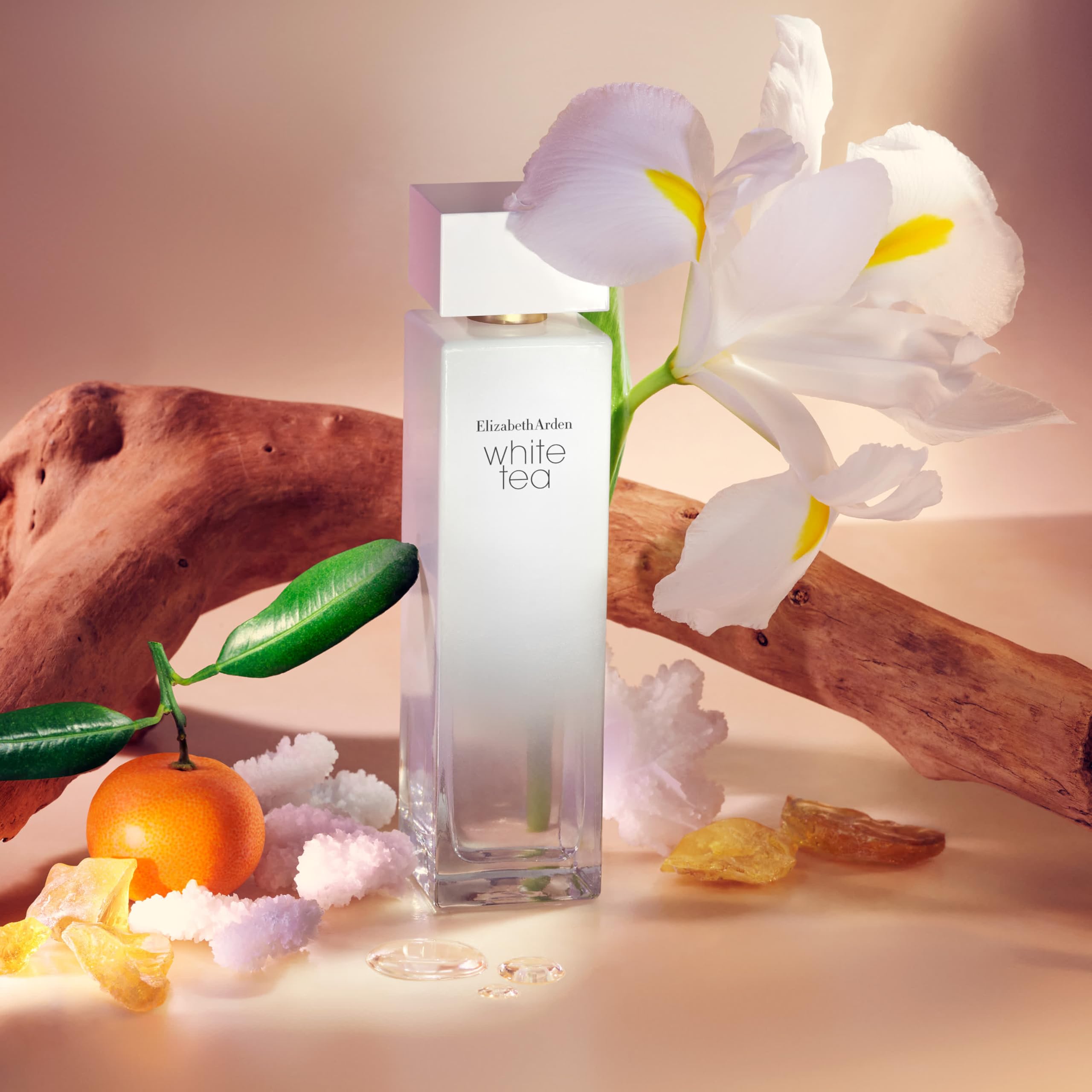 Elizabeth Arden, White Tea Eau de toilette pour Femme, Senteur Florale et Fraîche, Spray Vaporisateur, Parfum pur, délicieusement simple et raffiné