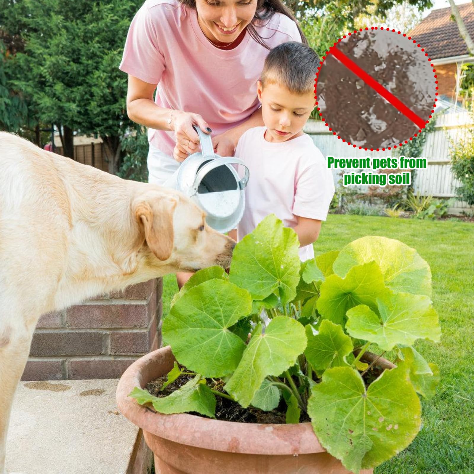 Lot de 6 grilles de protection rondes pour plantes - 30 cm - Protection pour pot de fleurs - Support de pot de fleurs - Grille pour pots de fleurs - Grille pour enfants et animaux domestiques