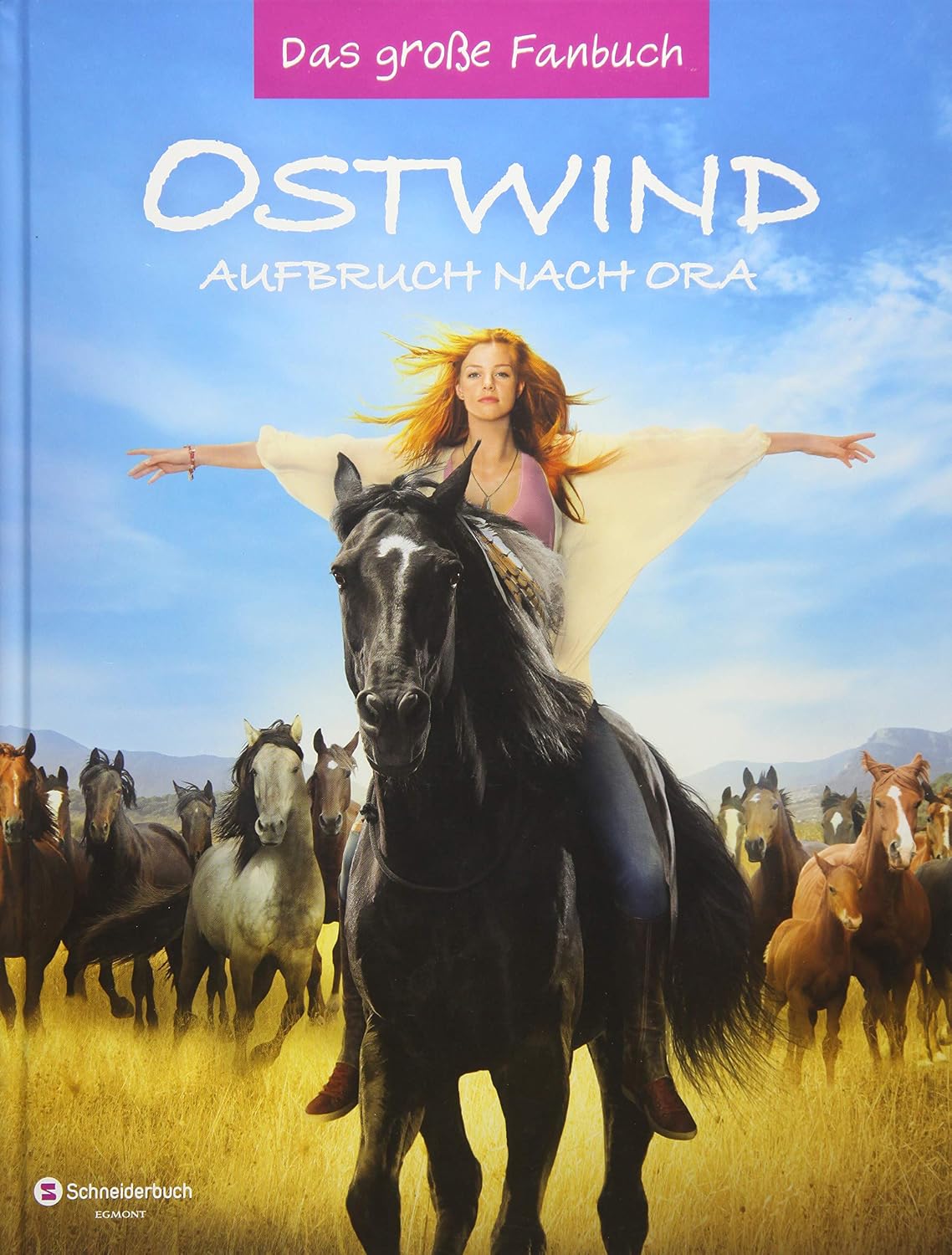 Amazon Ostwind Aufbruch Nach Ora Das Gro e Fanbuch amazon-ostwind-aufbruch-nach-ora-das-gro-e-fanbuch
