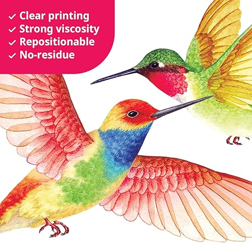 Miniatura 4 de BASHOM DS2-4002 - Calcomanías de pared de colibríes, para niños, desprendibles para guardería, dormitorio, sala de estar, murales de arte,