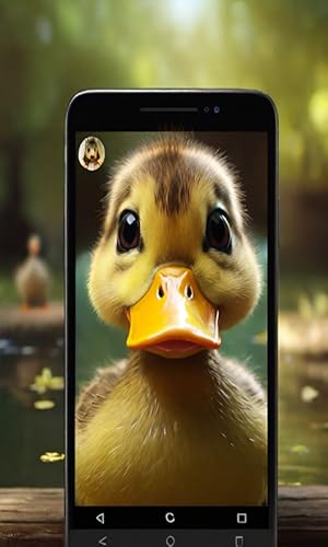 Incoming Video Call from Duck - EVIL Call Prank | NO ADS