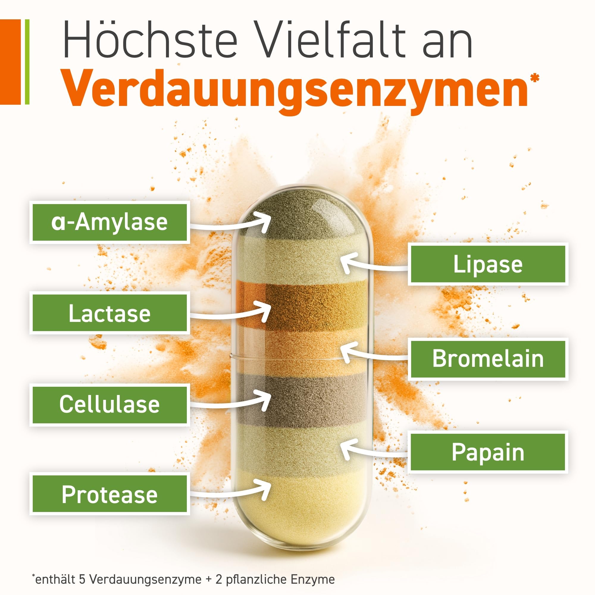 Omniflora Enzym Complex – 7 Enzyme mit Bromelain & Papain – 90 Kapseln | 2 Mrd. aktive Kulturen (Bacillus coagulans) · Magensaftresistente DRcaps · 7-fach Enzymkomplex