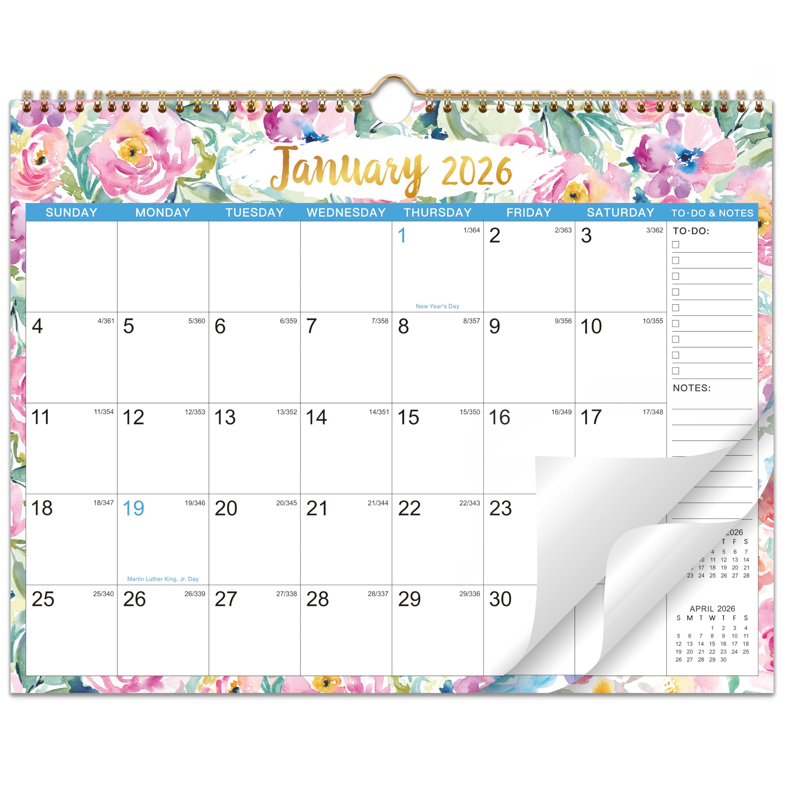 Amazon.com: 2026 Wall Calendar - January 2026 - December 2026