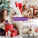 Frienhund Jouets de chien pour les brochettes agressives: Jouet de chien dur pour les grands chiens, 3-Pack Jouets de chien indestructibles pour les garder occupés, Jouet à mâcher de chien pour les grandes races, Jouets pour chiens sûrs et non toxiques, Violet