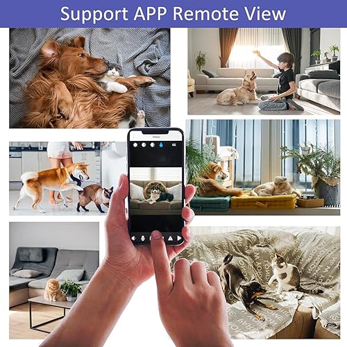 Miniatura 6 de Mayycinco Mini cámara HD para mascotas, collar de cámara para gatos con video, cámara de vigilancia de seguridad para mascotas con visión nocturna,