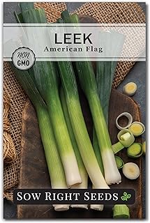 Sow Right Seeds - American Flag Leek Seeds for Planting - Non-GMO Heirloom Vegetable Variety - Ideal for Home Gardens - High Yield Leeks - Easy to Grow - Perfect for Soups, Salads & Stews (1)