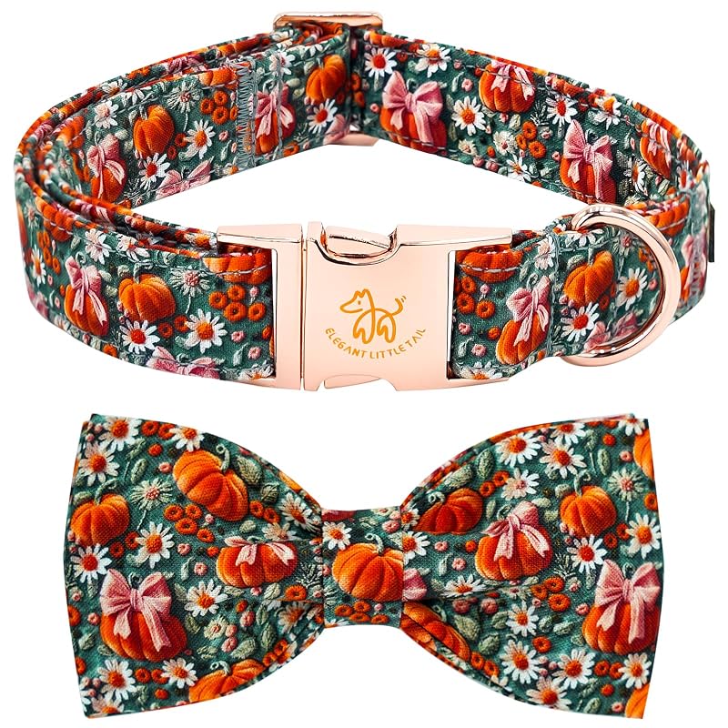 Coleira para cães com laço, algodão ajustável e estampa 3D pumpkin Elegant little tail – X-Large (1 unidade)