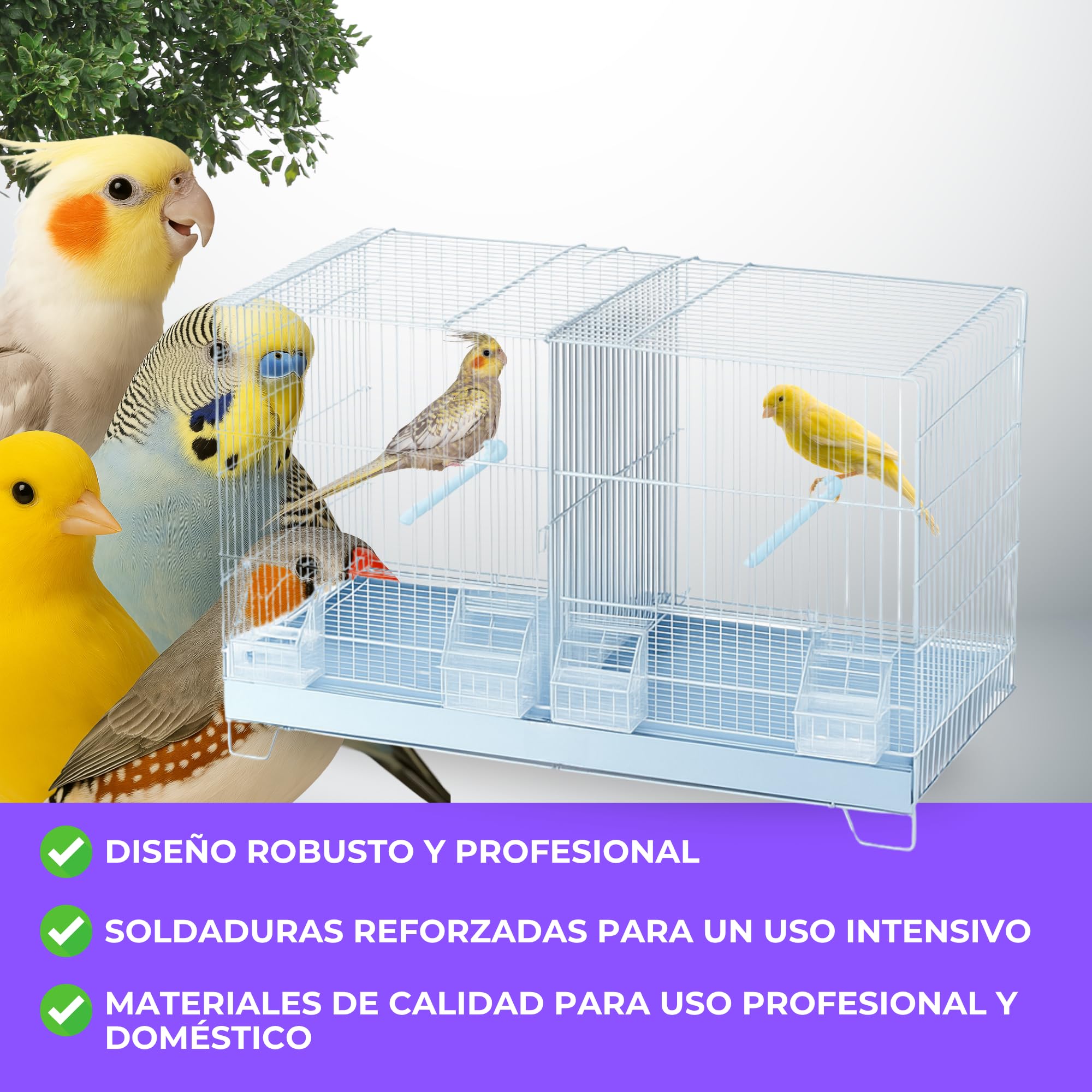 MOLY Jaulón de cría para pájaros 58 x 32 x 37 cm | Jaula Desmontable con Base elevada | Pajarera, Nido Ideal para reproducción y cría de Aves pequeñas