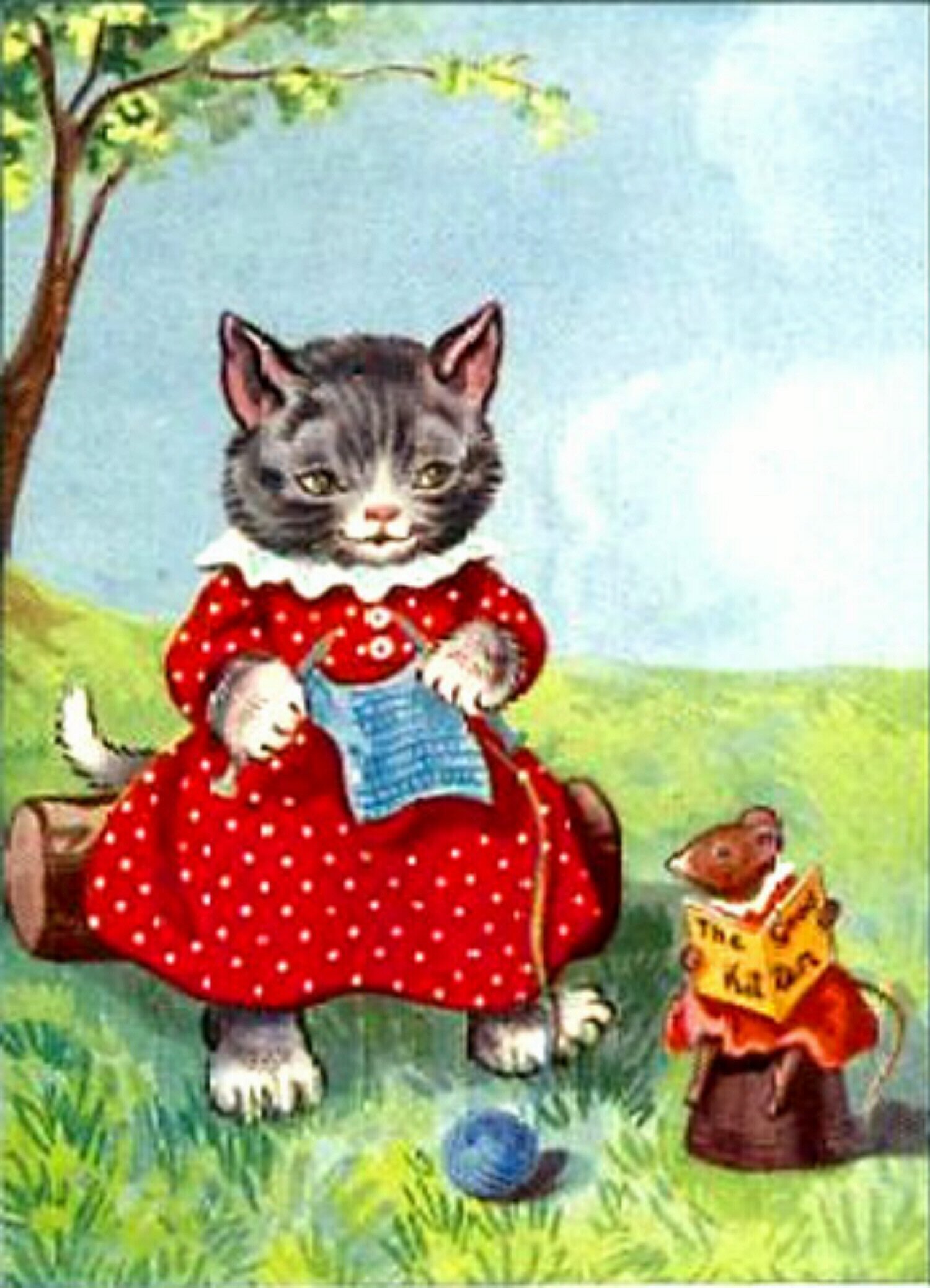 Amazon.com: Counted Cross Stitch Pattern Chart Graph-Knitting Cat ...