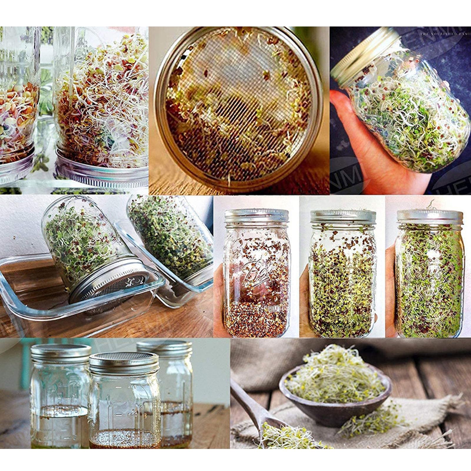 Lot de 2 Bocaux de Germination, Kit de Culture de Germes de Brocoli Mason Jar Kit de Germination Kit de Culture de Micro-verts avec Couvercle en Maille, Bouche Large, Drainage Facile pour la Culture D
