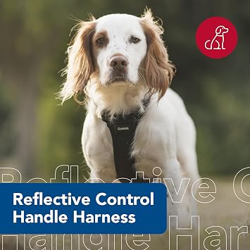Coastal Pet Reflective Control Handle Harness - Reflective Harness for Dog - Comfortable Fit - Easy Control - Easy On/Off Design - Safety Equipment for Dogs - Blue, Girth: 20-30 x Neck: 12-18