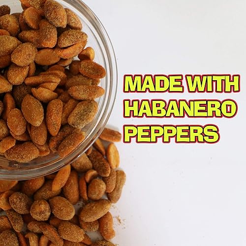 Miniatura 10 de Maní picante con sabor a jalapeño y cheddar, paquete variado de maní cheddar jalapeño, lata de 12 onzas (queso cheddar jalapeño, 3 libras)