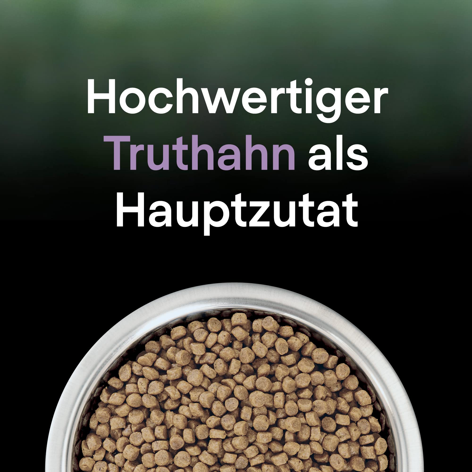 Pro Plan LIVECLEAR KITTEN, Katzenfutter trocken, reich an Truthahn, 6er Pack (6 x 1,4kg)