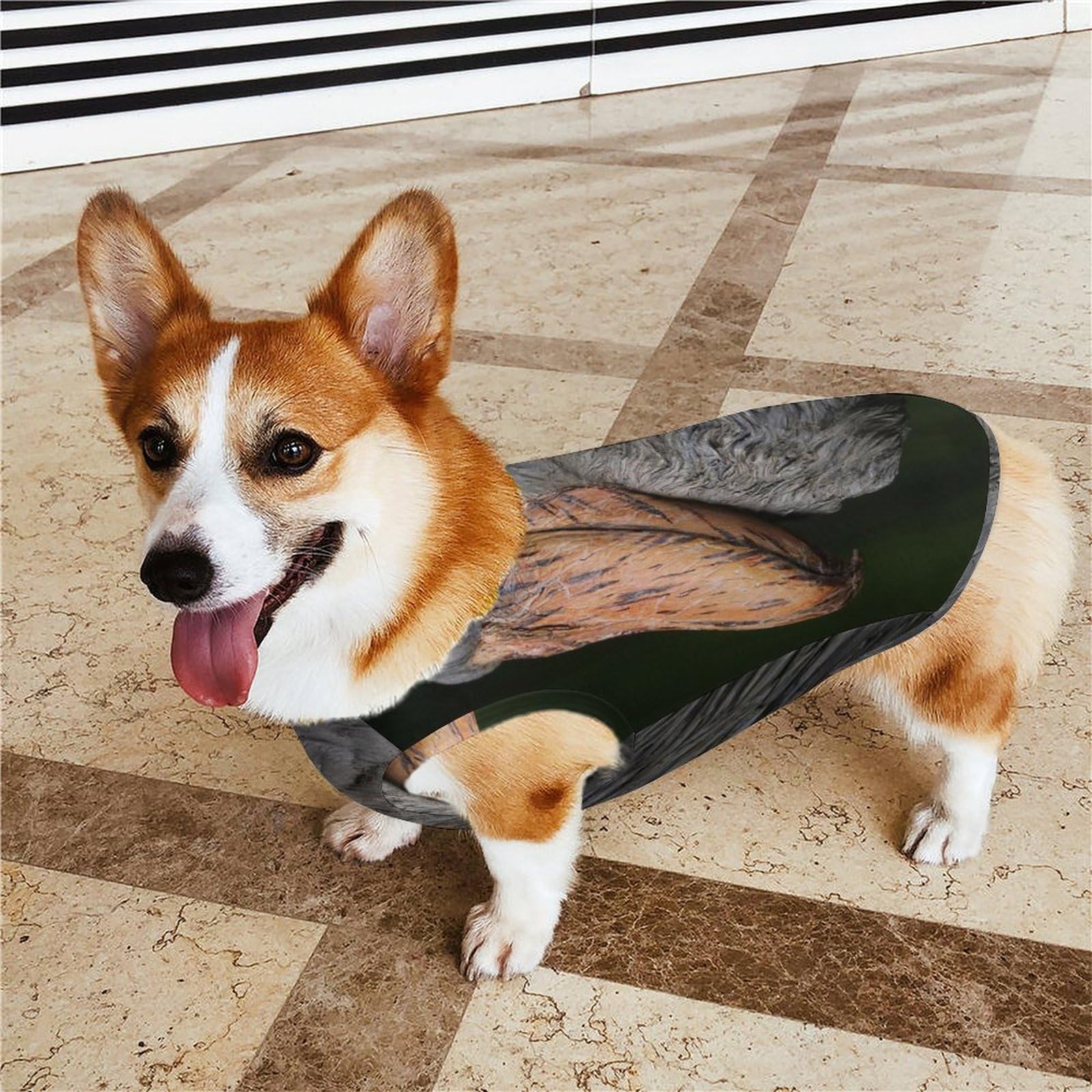 木と鳥の犬の服 【公式通販】