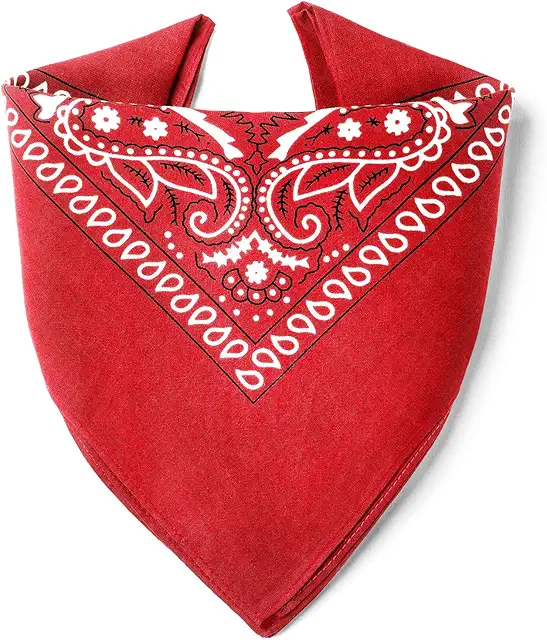 Bandana 100% Coton Premium - Épaisseur Supérieure - 20 Couleurs Paisley