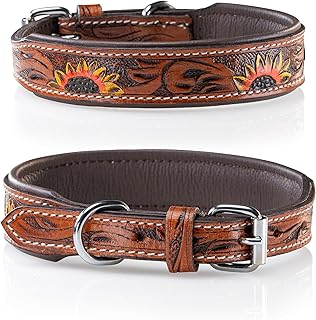 Jack & Russell Unique Leather Dog Collar, Hand-Carved and Padded, Buffalo Leather Dog Collar Soleil (L (40.0-49.5 cm) product image