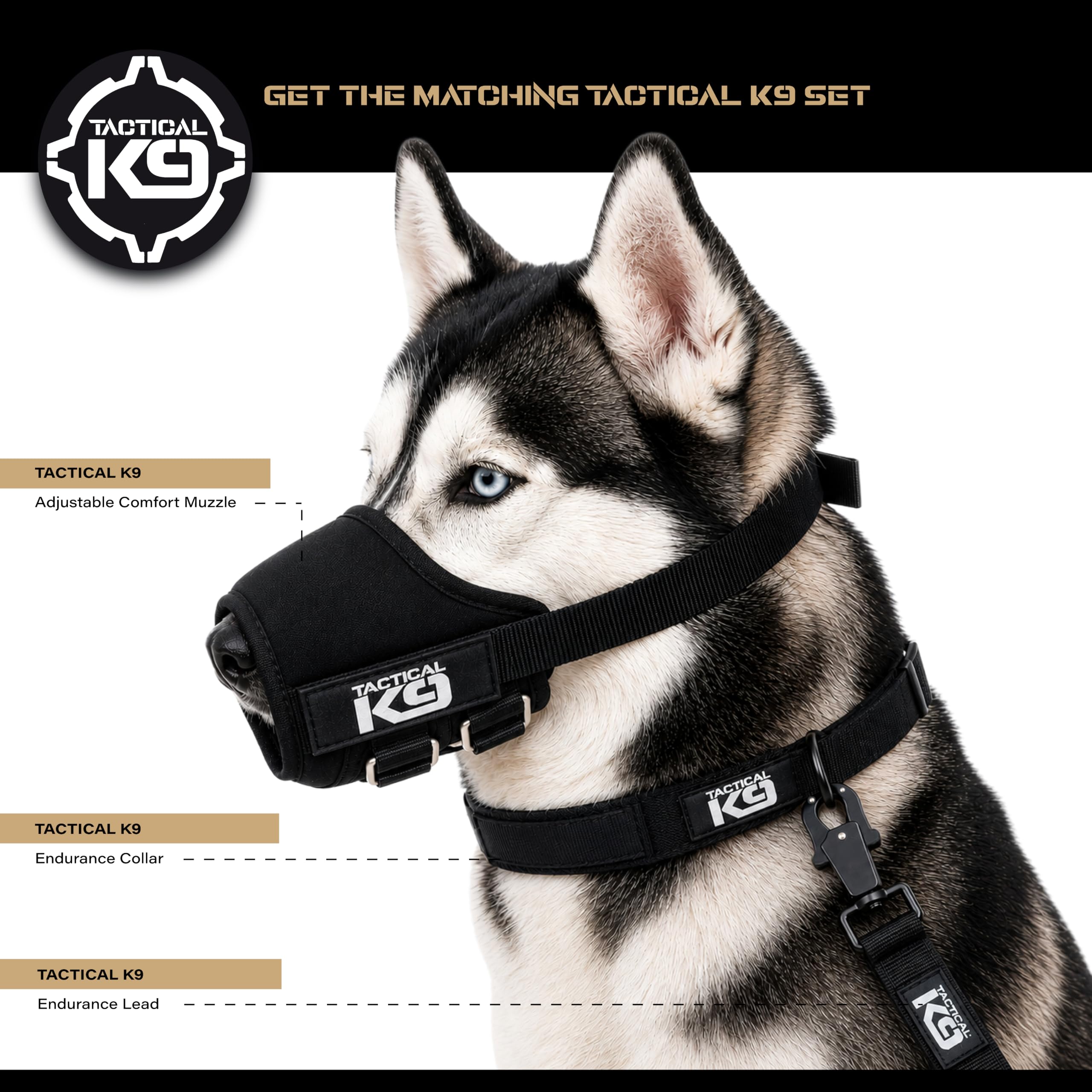 View 6