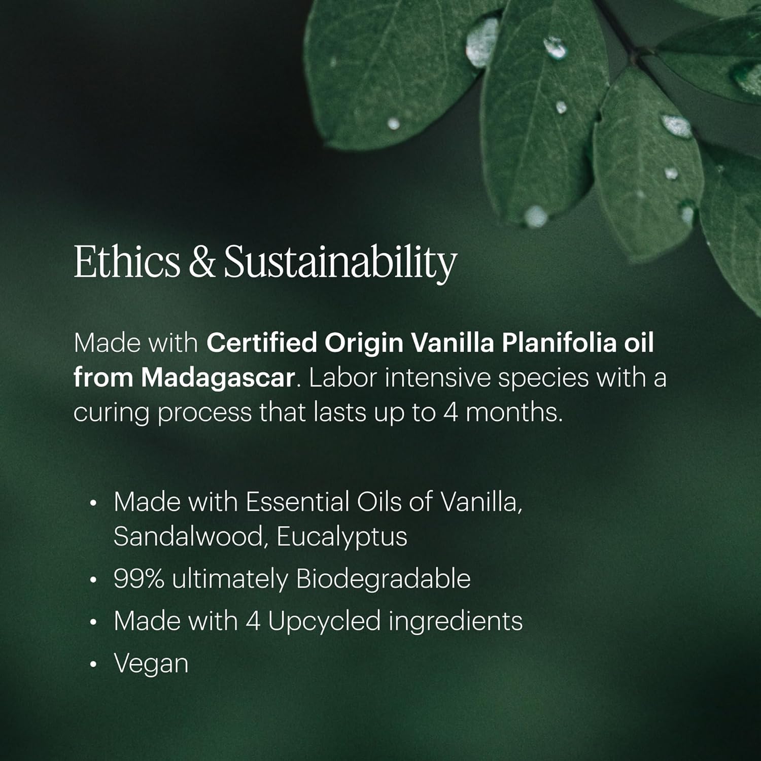 Aera Mini Soft Pants - Essential Oil for Home – Warm and Cozy MoodBoost Fragrance - Notes of Sandalwood and Vanilla - Scent Refill - Capsule Size Works with Mini Diffuser - Image 5