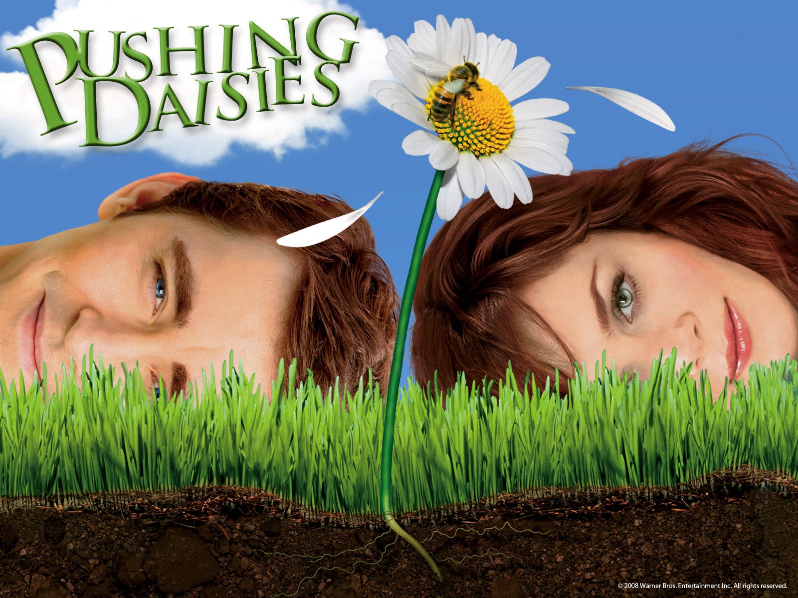 Pushing Daisies Season 1
