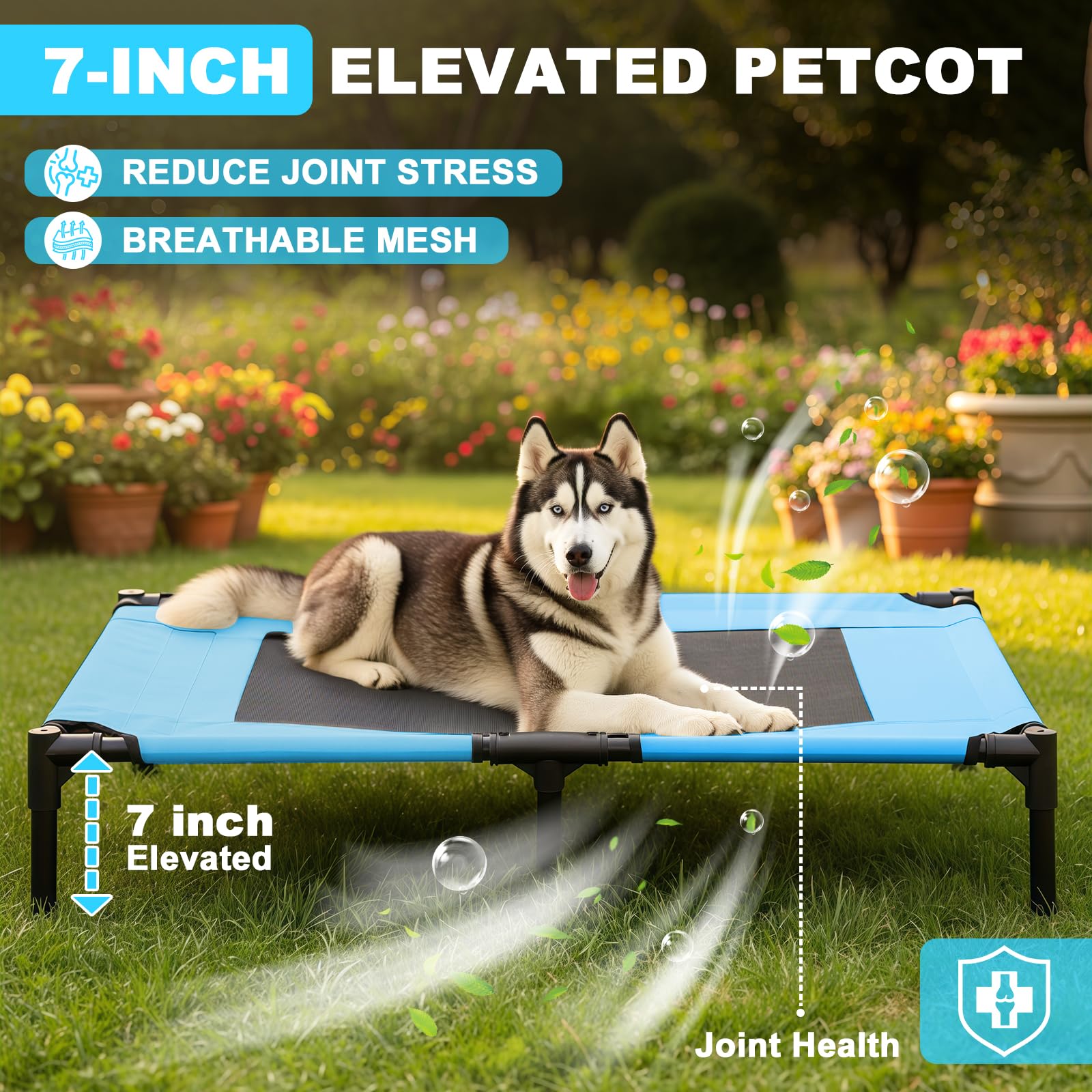 Cuna elevada para perros S/M/L con toldo y sombra lateral para acampar perros pequeños y medianos (bolsa de transporte), cama elevada portátil para perros con y lateral para la playa